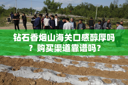 钻石香烟山海关口感醇厚吗？购买渠道靠谱吗？